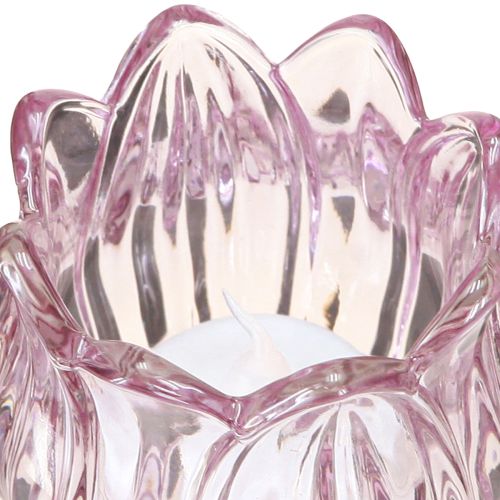 tételeket Tealight üveg tulipán teamécses tartó üveg lila Ø7cm H16cm 2db
