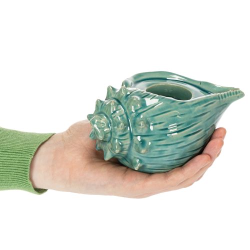 tételeket Teamécses tartó kagyló alakú asztali gyertya fürdőszoba nappali 16cm