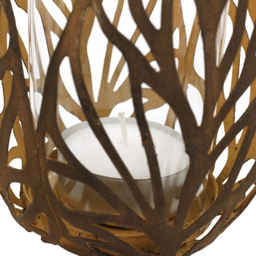 Floristik24 Lámpás rozsda megjelenés, teamécses tartó retro Ø13cm H30cm