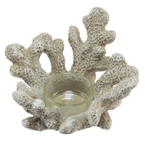 tételeket Gyertyatartó korall dekoráció tengeri szürke Ø12cm H8cm