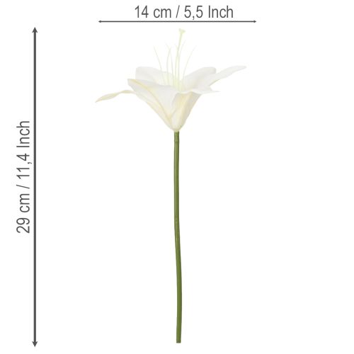 Műfehér tigrisliliom vázákba és kompozíciókba, 29 cm-es csokor, 6 db-os | Floristik24.hu
