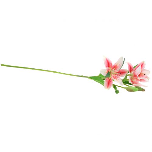 Floristik24 Tigris liliom rózsaszín, fehér 60cm