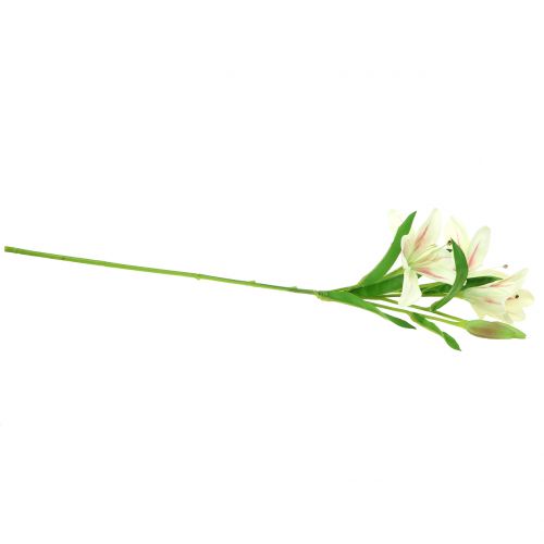 Floristik24 Tigris liliom krém 60cm