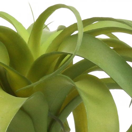Floristik24 Tillandsia mesterséges ragadható világoszöld műnövény 30cm