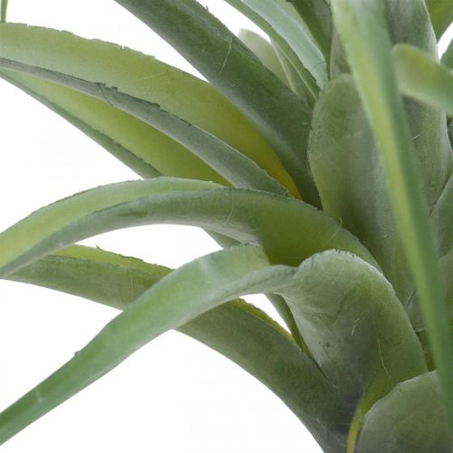 Floristik24 Deco Tillandsia mesterséges műnövény ragasztózöld Ø45cm