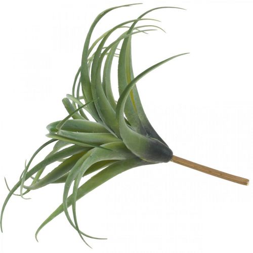 Floristik24 Deco Tillandsia mesterséges műnövény ragasztózöld Ø45cm