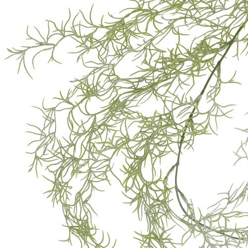 Floristik24 Tillandsia fogas zöld 160cm