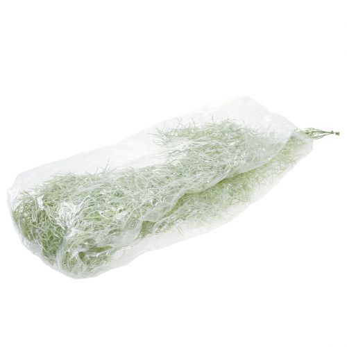 Floristik24 Tillandsia fogas zöld 160cm