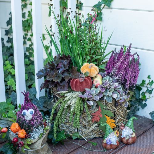 Floristik24 Asztali dekoráció őszi dekoráció sütőtök narancssárga barna Ø6,5cm 9db