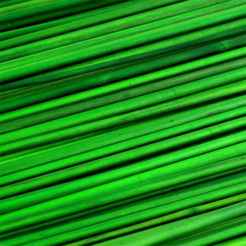 Floristik24 Tonkin zöld 70cm 150p.