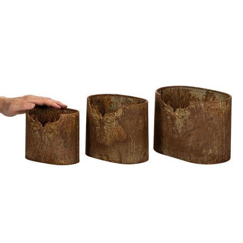 Kaspó szarvas fém ovális rusztikus 3 db-os szett 24cm | Floristik24.hu