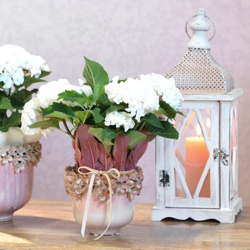 tételeket Virágcserep Kerámia Pink – Elegáns cserép virágdíszítéssel Ø16cm