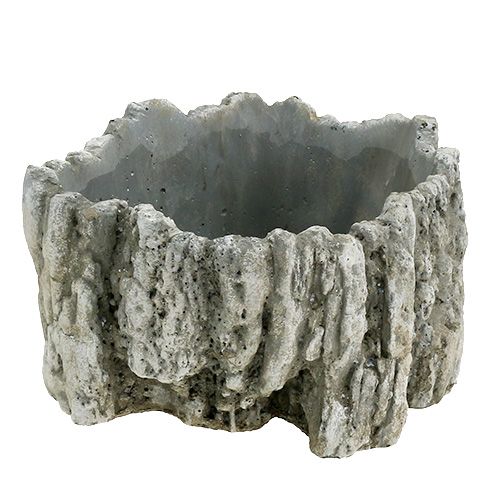 Floristik24 Fazék kéreggel 20,5cm x 17cm 1db