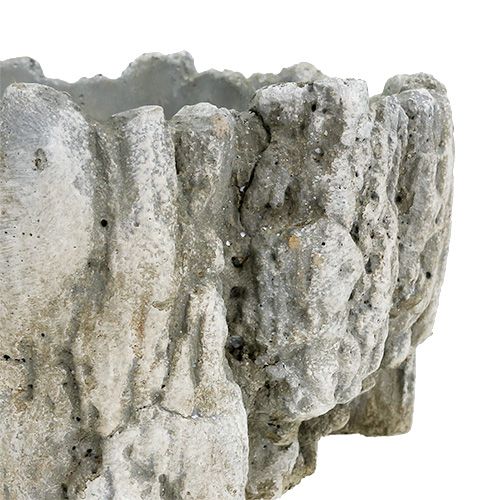 Floristik24 Fazék kéreggel 20,5cm x 17cm 1db