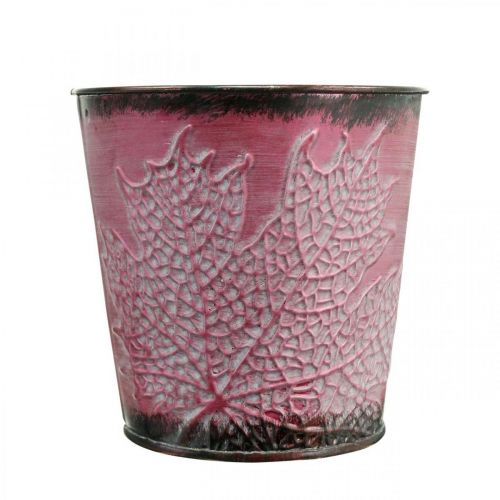 tételeket Levéldíszes ültetőgép, fémedény, őszi, cserepes borvörös Ø10cm H10cm