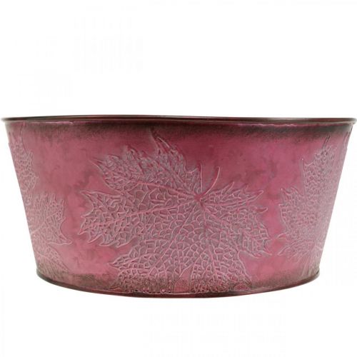 tételeket Növénytál őszre, fém tartály levéldíszítéssel, dekoratív cserepes borvörös Ø25cm H11cm