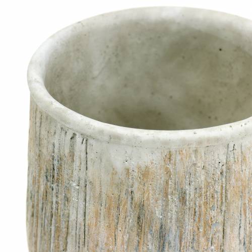 Floristik24 Ültetős természet csíkos nehéz Ø14cm 2 db