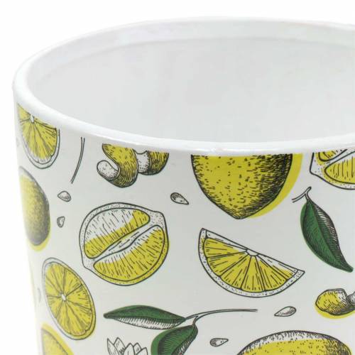 Floristik24 Ültetős citromsárga Ø8/10/13cm 3 db-os készlet