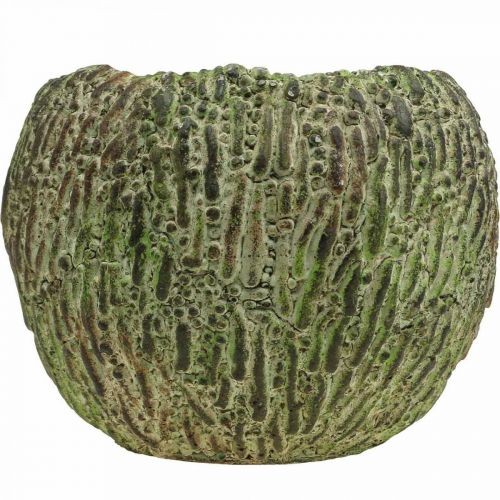 tételeket Beton virágtartó, antik hatású, zöld és barna, kerek virágcserép, Ø15,5 cm