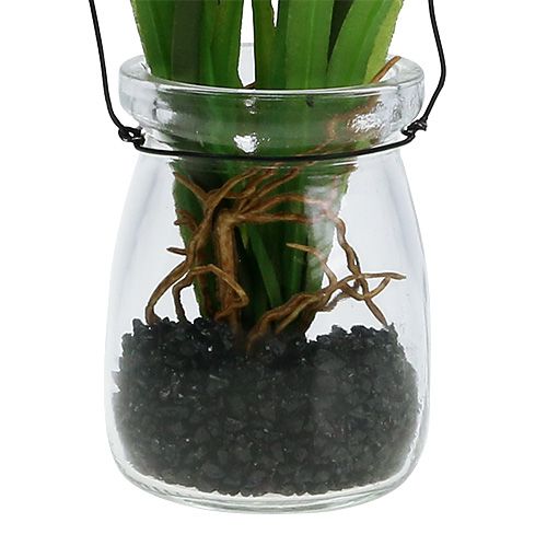 tételeket Szőlő jácint műrózsaszín üvegben 16cm