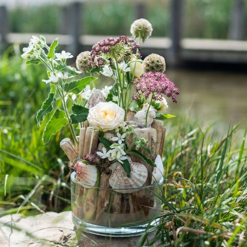 Floristik24 Driftwood dekoratív uszadékfa fa pálcikák természet L15cm