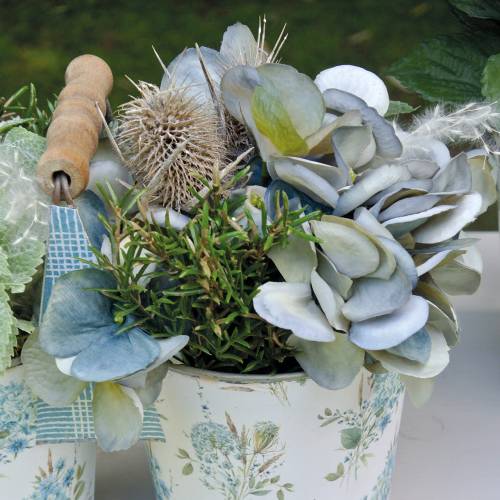 Floristik24 Szárított virágok Thistle White mosva 60cm 100g