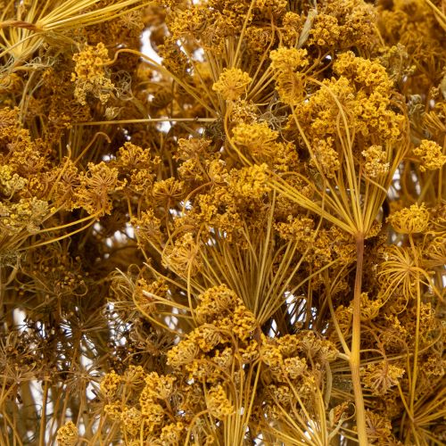 tételeket Szárított virágcsokor finom virágokkal, romantikus, vintage dekorációhoz, 55cm