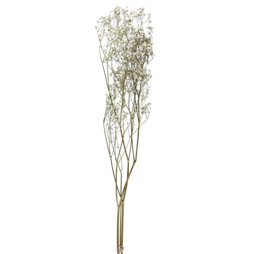 Floristik24 Szárított virágok Gypsophila Gypsophila White 58cm 7g