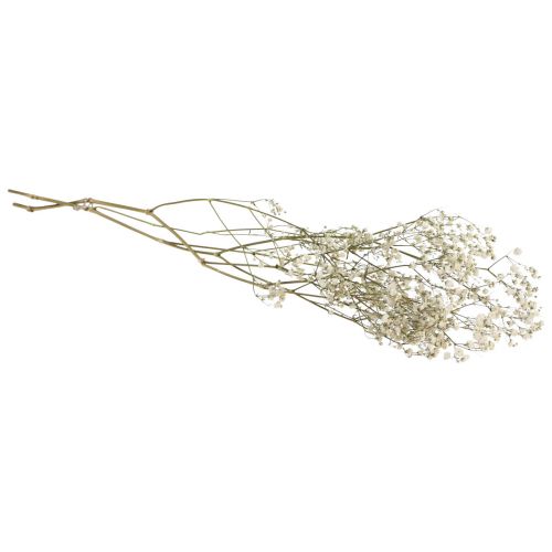 Floristik24 Szárított virágok Gypsophila Gypsophila White 58cm 7g