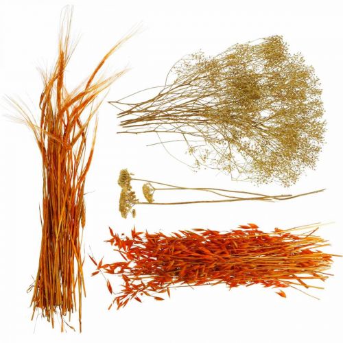 Floristik24 Szárított virágok doboz narancssárga száraz virágkötő készlet