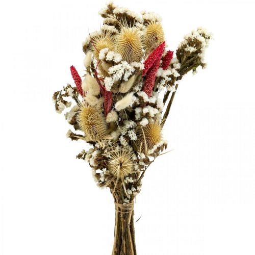 Floristik24 Szárított virágcsokor szalmavirág csokor bogáncs 40-45cm