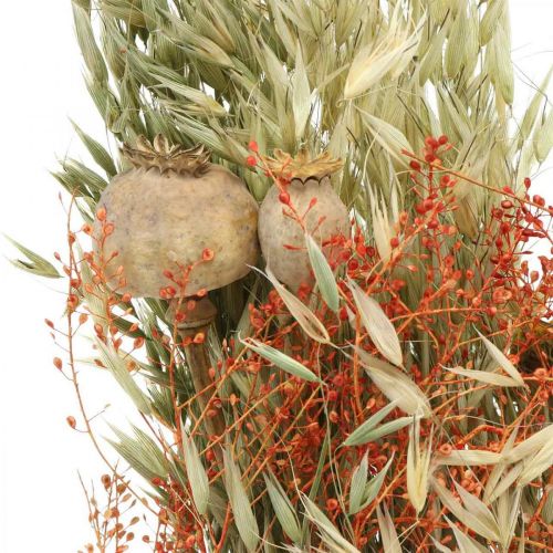 Floristik24 Csokor szárított virág gabona és mák száraz dekoráció 60cm 100g