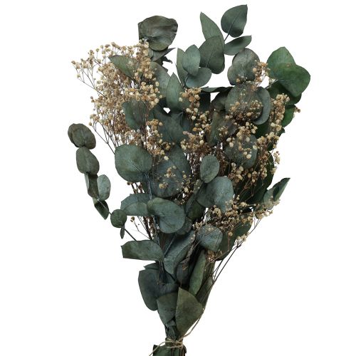 Floristik24 Szárított virágcsokor eucalyptus gypsophila tartósított 50cm zöld