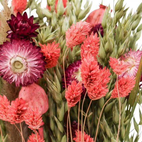 Floristik24 Csokor szárított virágból szalmavirág gabona mák kapszula Phalaris sás 55cm