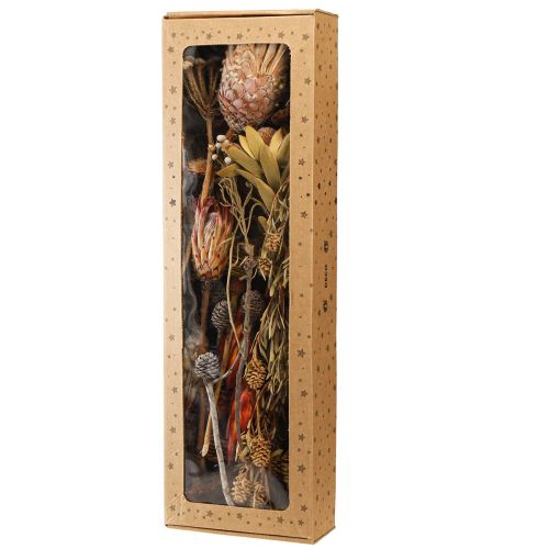 tételeket Szárított egzotikus protea tobozok, Bellgum 24–48 cm 580 g - Művirág dekoráció Dél-Afrikában