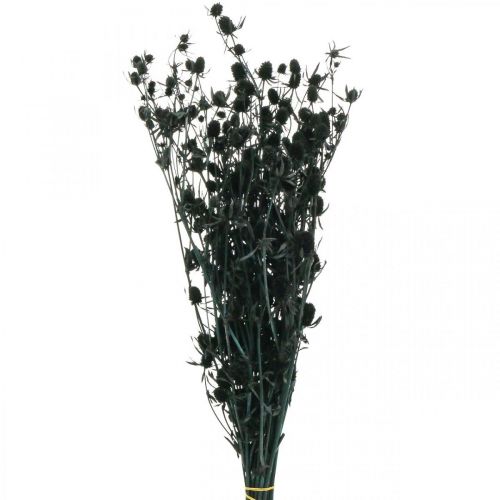 Floristik24 Szárított bogáncs fekete eper bogáncs szárított virágok 100g