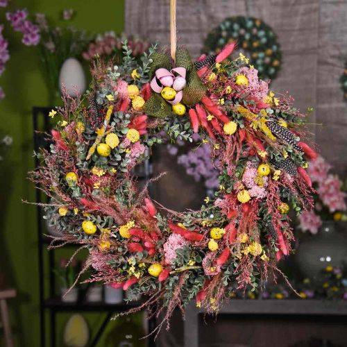 Floristik24 Száraz fű hosszú rózsaszín tollfű dekoratív Miscanthus 75cm 10 db