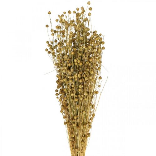 Szárított lenfű, olívazöld, 50-55cm, 80g, dekoratív bohém stílus