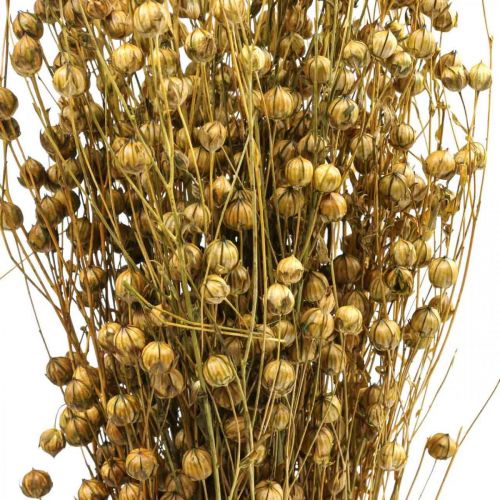 tételeket Szárított fű Szárított len olivazöld H50-55cm 80g