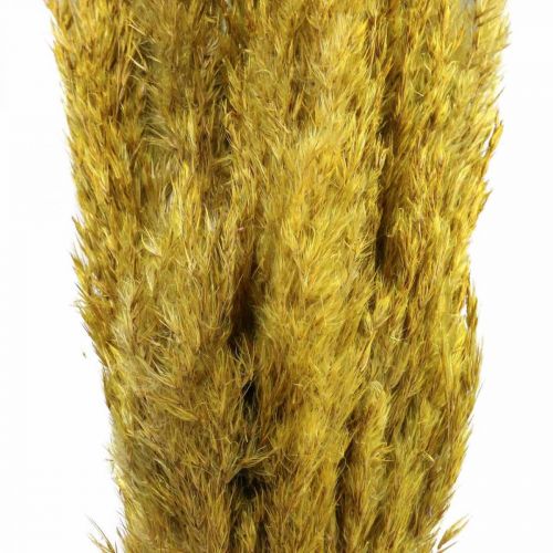 tételeket Szárított fű sás deko szárított sárga 70cm 10db