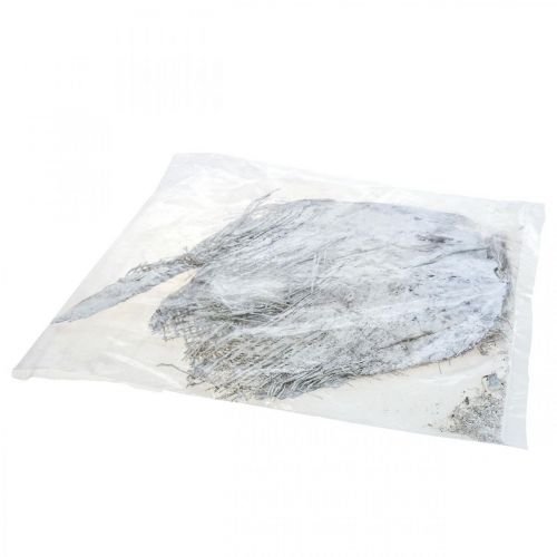 tételeket Fehér pálmarostból készült dekoratív szárított növények 250g kézműves anyag