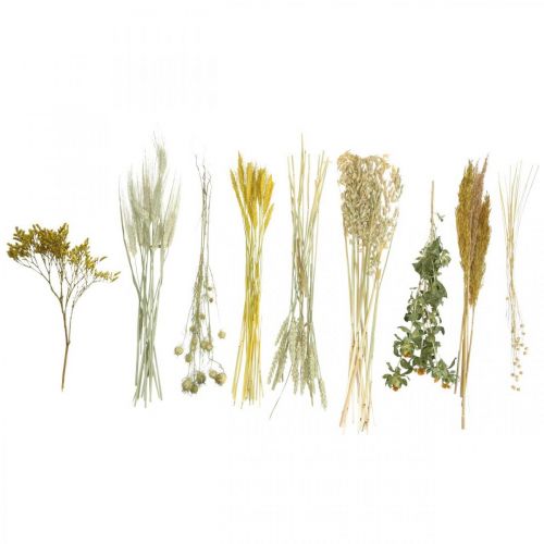 tételeket Szárított virág barkácskészlet kreatív csokrokhoz és dekoratív koszorúkhoz, sárga, 60 cm – Természetes termék
