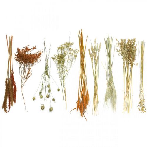 Floristik24 Szárított virágok Barkácskészlet szárításhoz narancssárga csokor 60cm