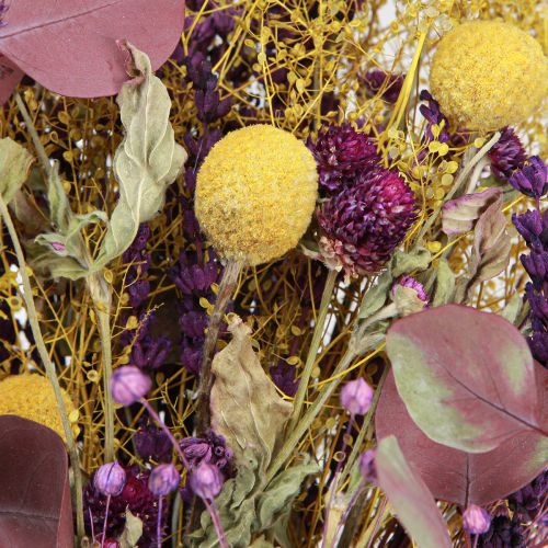 Floristik24 Száraz csokor sárga lila zöld craspedia eukaliptusz 53cm 150g