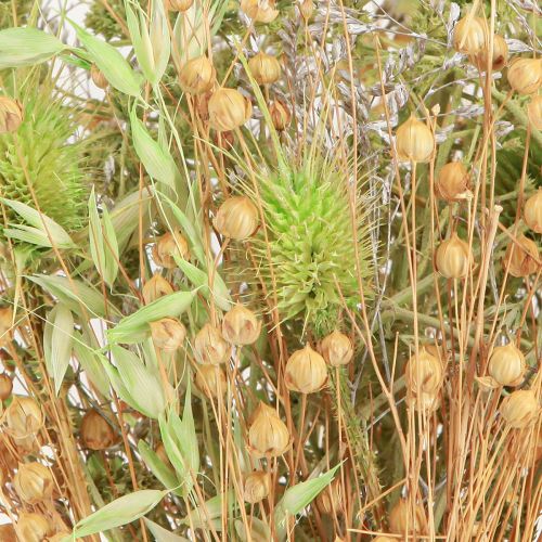 Floristik24 Száraz csokor csemege zab len menta natúr fehér 40cm 80g