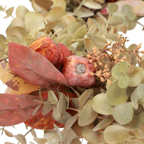 Floristik24 Ajtókoszorú eukaliptusz eukaliptusz koszorú mesterséges dekoráció Ø55cm