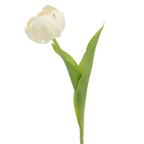 Floristik24 Tulipán krém 37cm 6db
