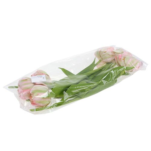 Floristik24 Tulipán rózsaszín, zöld 37cm 6db