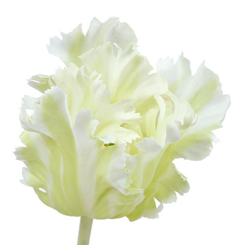 tételeket Mesterséges fehér tulipán 70cm