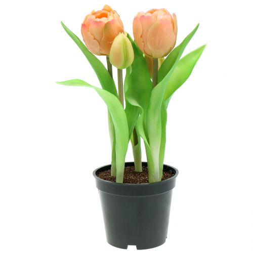 Floristik24 Tulipán Real-Touch barack 23cm